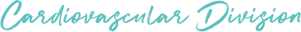 New Business division